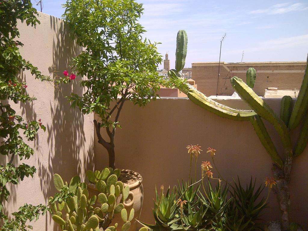 Riad Irene Marraquexe Exterior foto