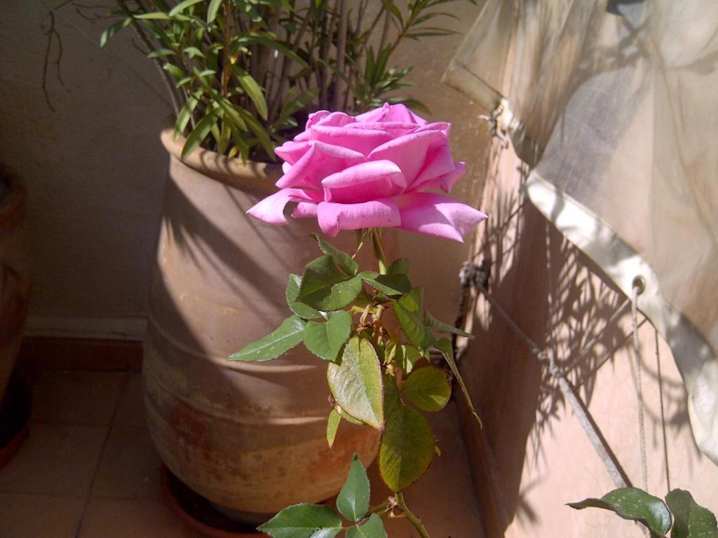 Riad Irene Marraquexe Exterior foto